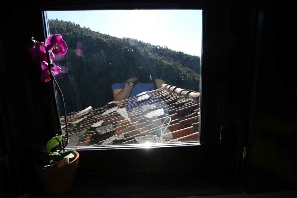 Talasnal Montanhas De Amor Lousã Exterior foto